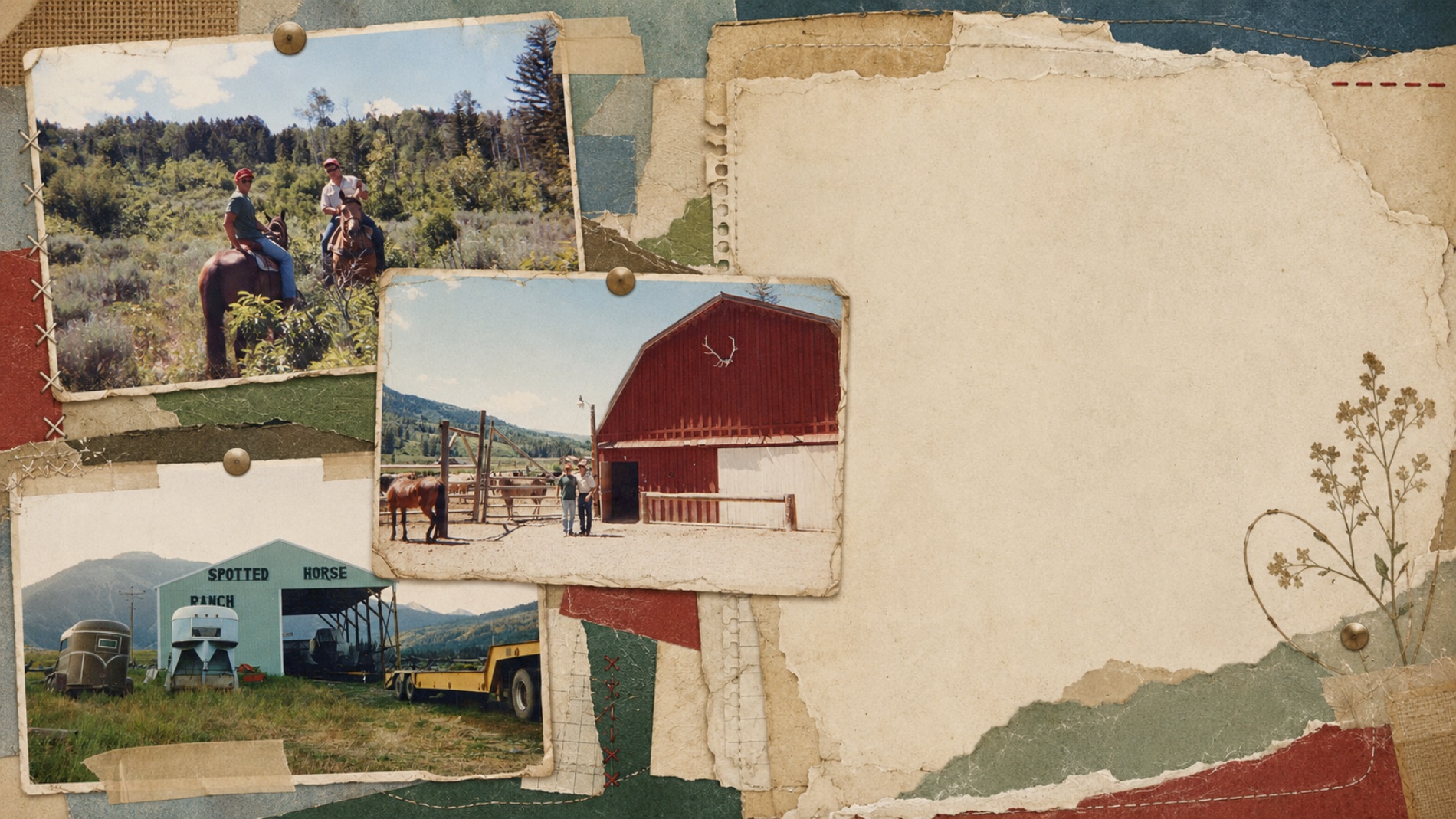 Spotted Horse Ranch — riding, the barn, the trailers